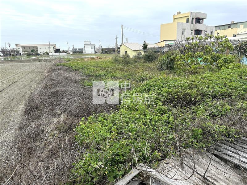 獨家！大甲西岐開心小農場房屋室內格局與周邊環境