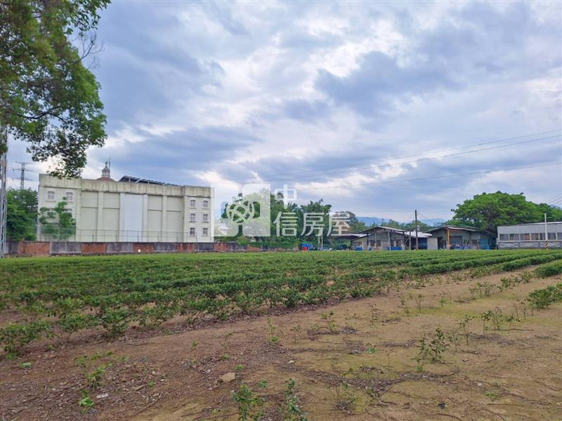 龍潭逸園｜種植茶樹美農地房屋室內格局與周邊環境