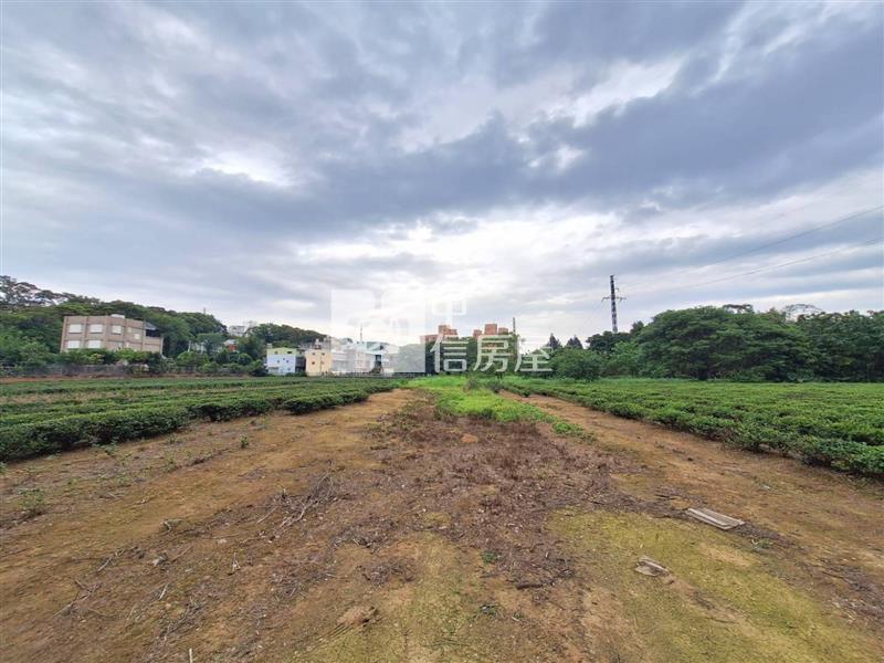 龍潭逸園｜種植茶樹美農地房屋室內格局與周邊環境