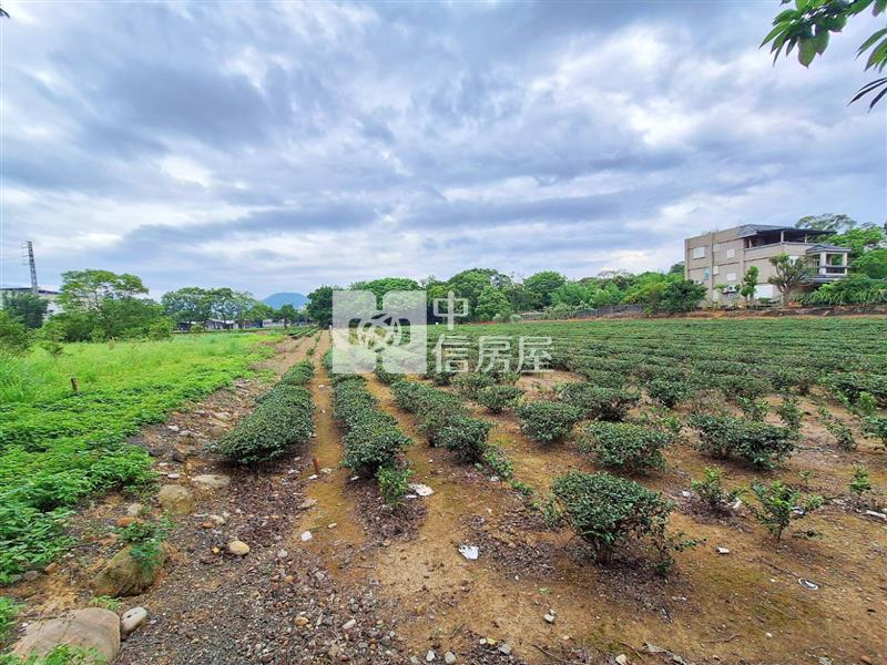 龍潭逸園｜種植茶樹美農地房屋室內格局與周邊環境