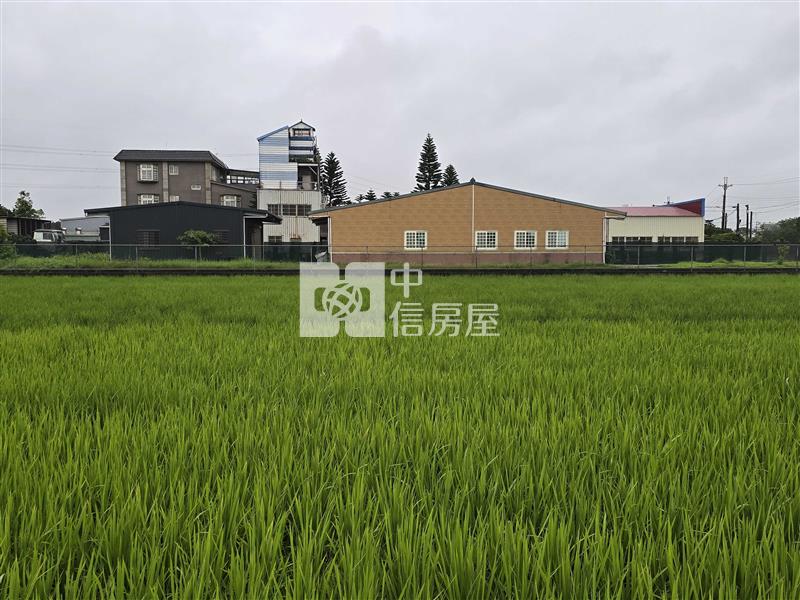 (專任)近新屋市區合法農舍房屋室內格局與周邊環境