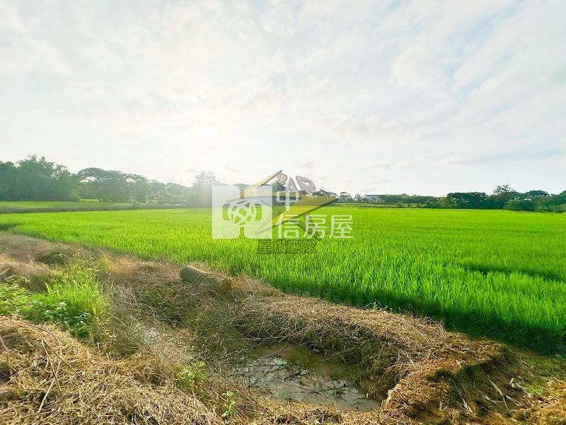 【星鑽】(獨家專任)大園溪海農地房屋室內格局與周邊環境