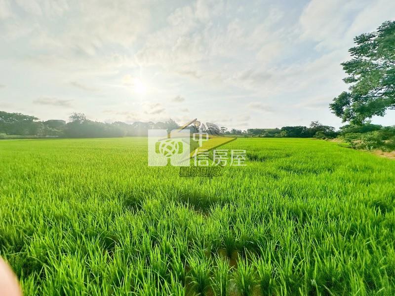 【星鑽】(獨家專任)大園溪海農地房屋室內格局與周邊環境