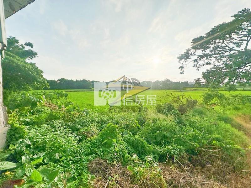 【星鑽】(獨家專任)大園溪海農地房屋室內格局與周邊環境