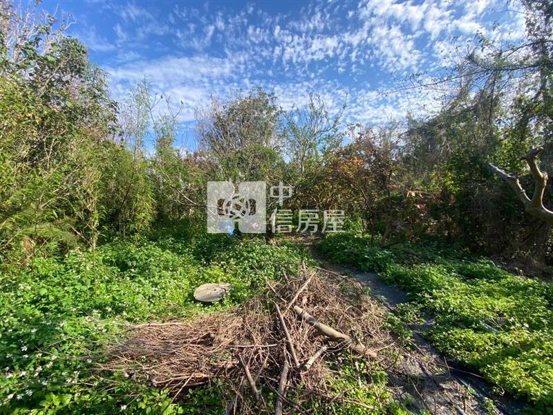 新社高中開心農場農建地平房房屋室內格局與周邊環境