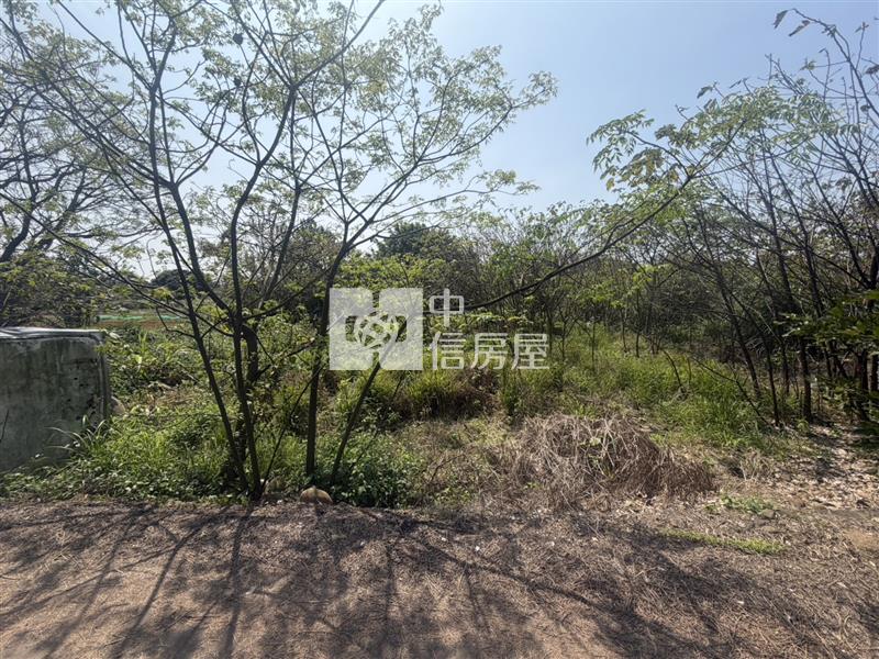 觀音農地房屋室內格局與周邊環境