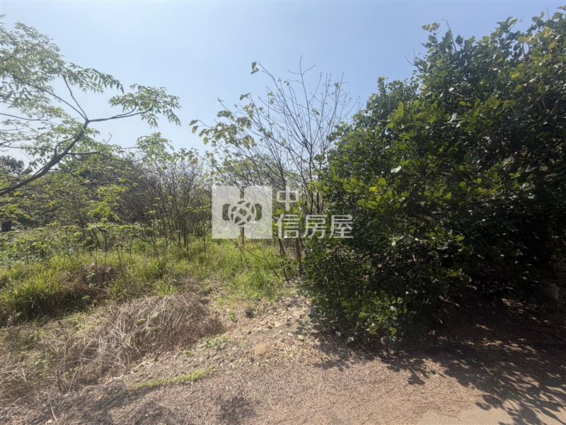 觀音農地房屋室內格局與周邊環境