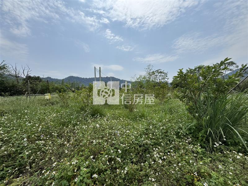 龍潭紅橋低總價都內農房屋室內格局與周邊環境