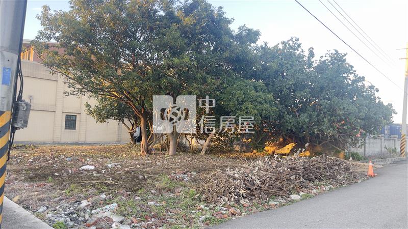 桃園航空城大興高中旁建地房屋室內格局與周邊環境