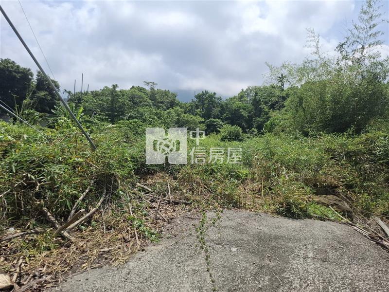 白河區南寮地靈人傑臨路農建地房屋室內格局與周邊環境