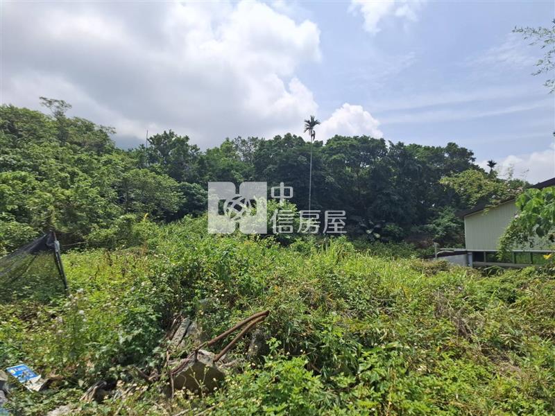 白河區南寮地靈人傑臨路農建地房屋室內格局與周邊環境