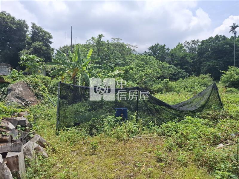 白河區南寮地靈人傑臨路農建地房屋室內格局與周邊環境