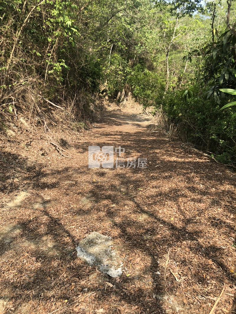 玉井景觀4.6分休閒農地房屋室內格局與周邊環境