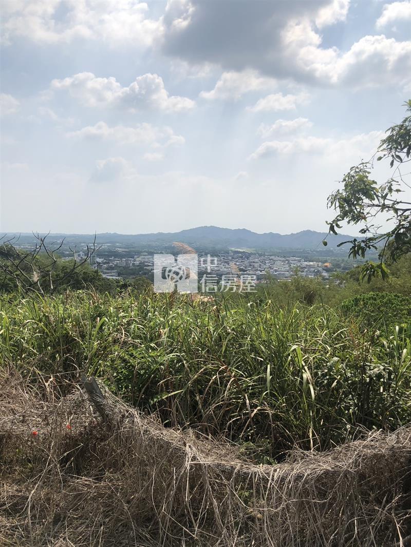 玉井景觀4.6分休閒農地房屋室內格局與周邊環境
