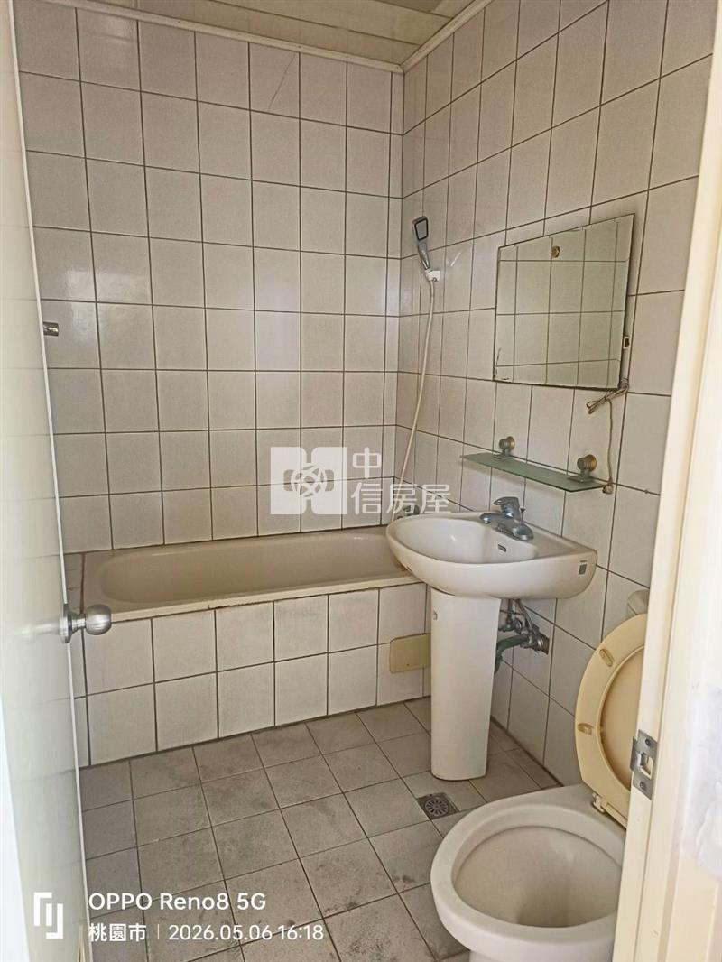 中壢樂天桃園棒球場/芭里國小/A19至A20大地坪透天房屋室內格局與周邊環境