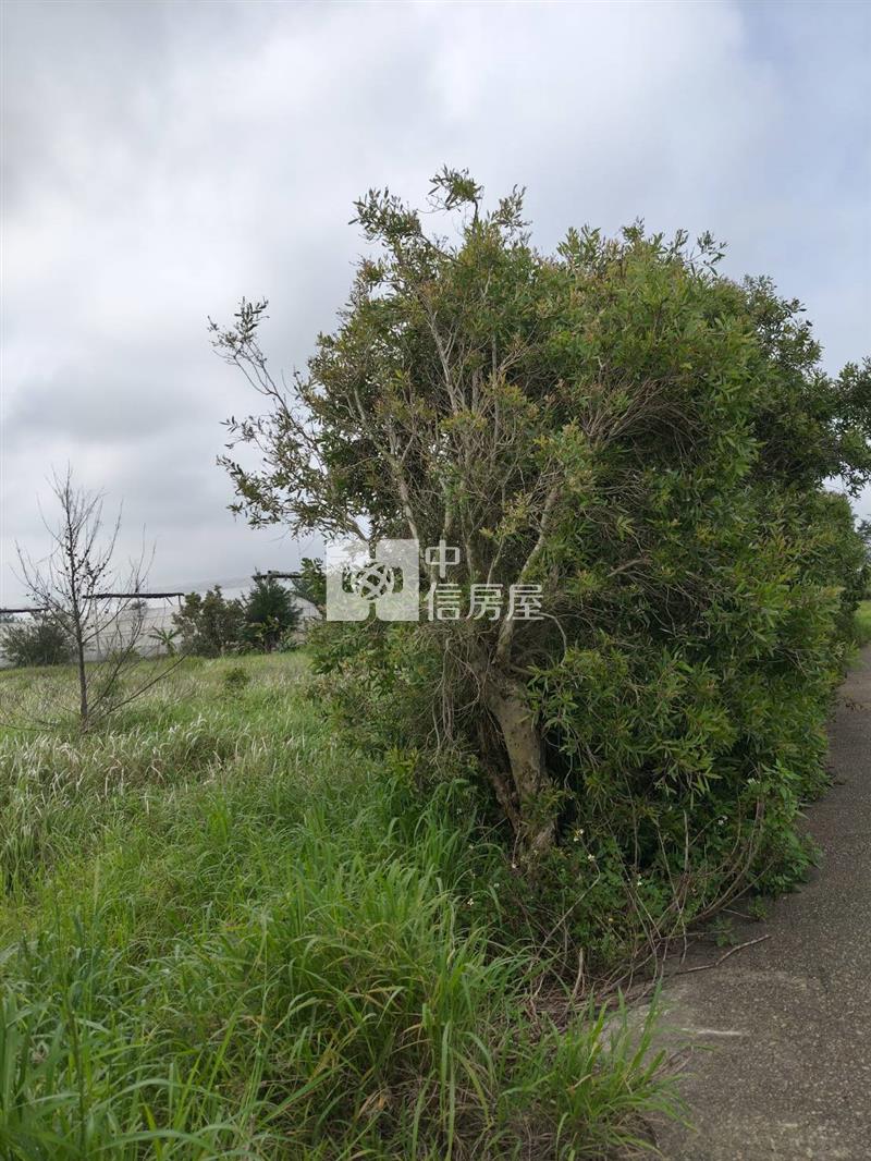 苗栗後龍特農房屋室內格局與周邊環境