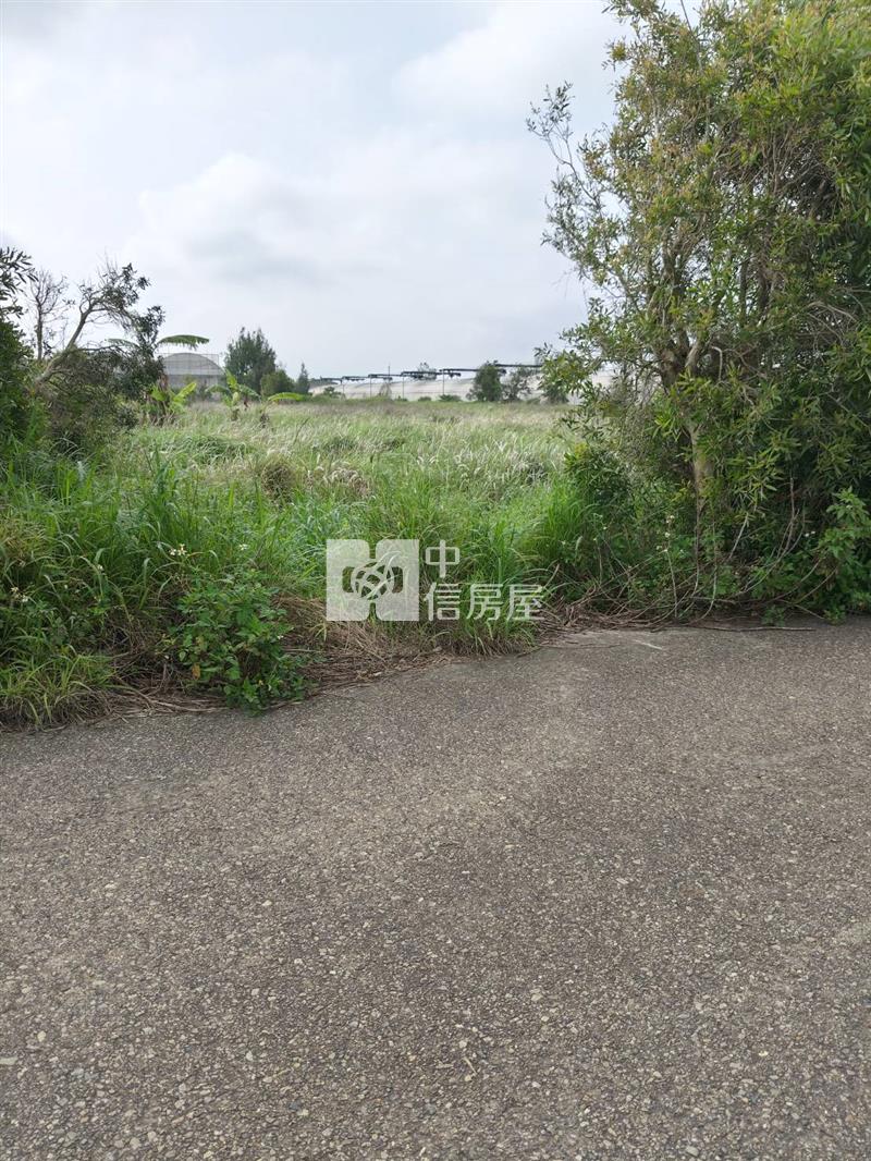 苗栗後龍特農房屋室內格局與周邊環境