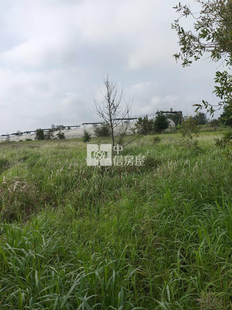 苗栗後龍特農房屋室內格局與周邊環境