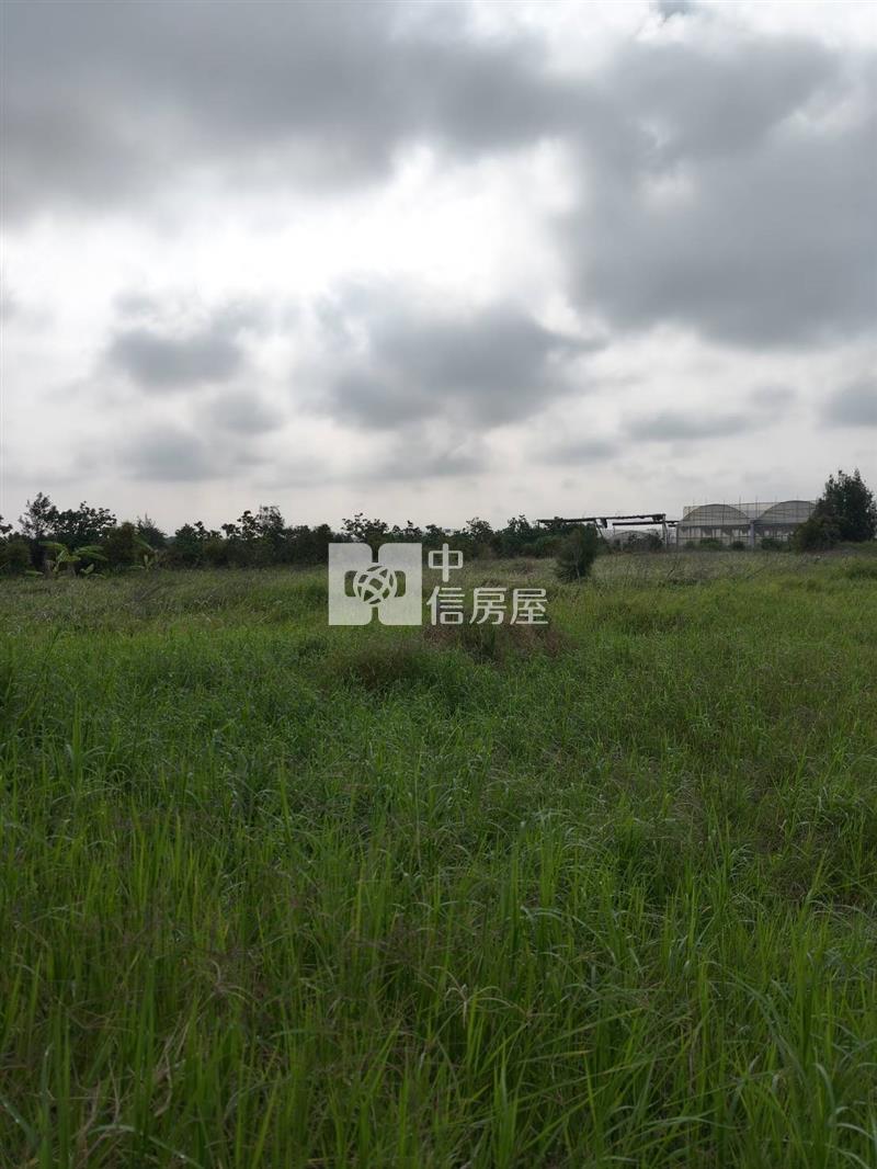 苗栗後龍特農房屋室內格局與周邊環境