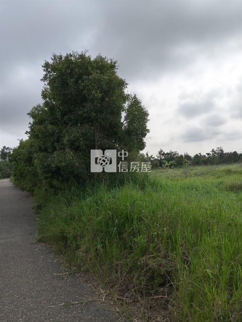 苗栗後龍特農房屋室內格局與周邊環境