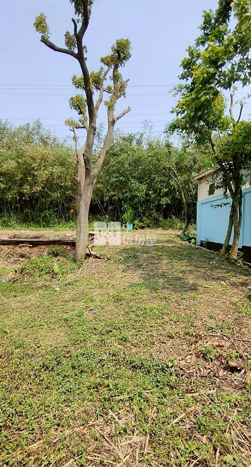 楊梅上湖國小農舎房屋室內格局與周邊環境