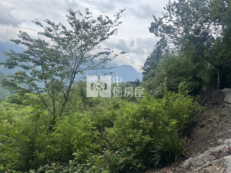 清境農地房屋室內格局與周邊環境