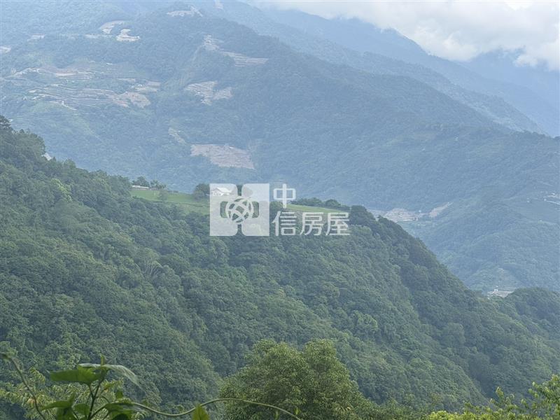 清境農地房屋室內格局與周邊環境