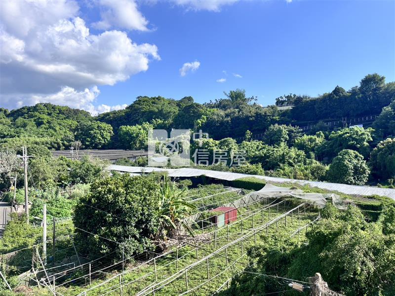 大南國小角間電墅房屋室內格局與周邊環境