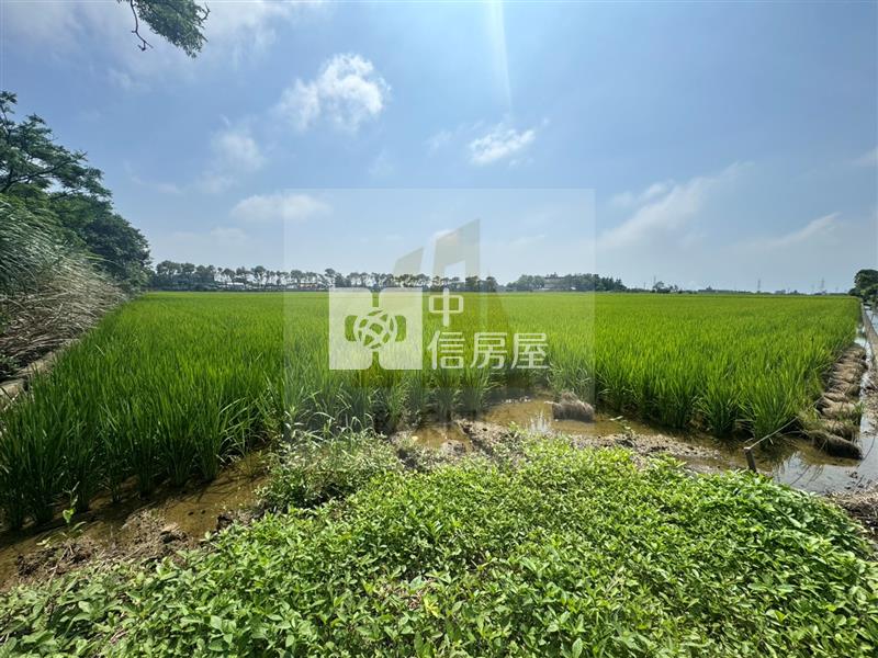 【玖禾】近保生國小新屋農保田房屋室內格局與周邊環境