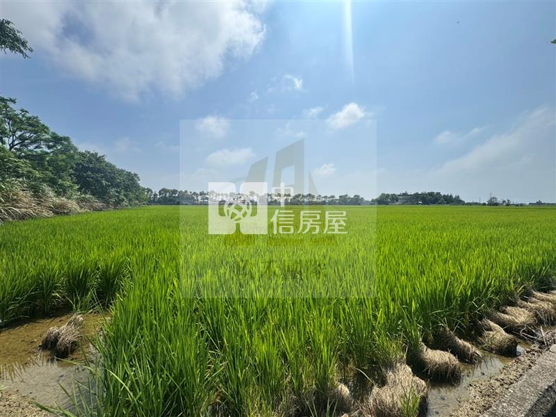 【玖禾】近保生國小新屋農保田房屋室內格局與周邊環境