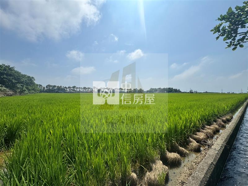 【玖禾】近保生國小新屋農保田房屋室內格局與周邊環境