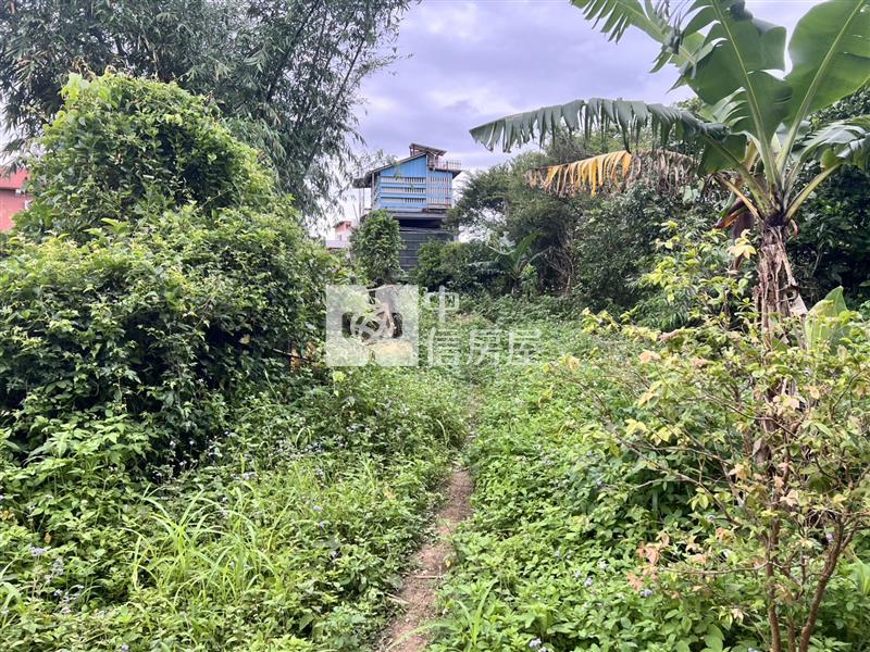 (專)大溪三層風景區美農地房屋室內格局與周邊環境