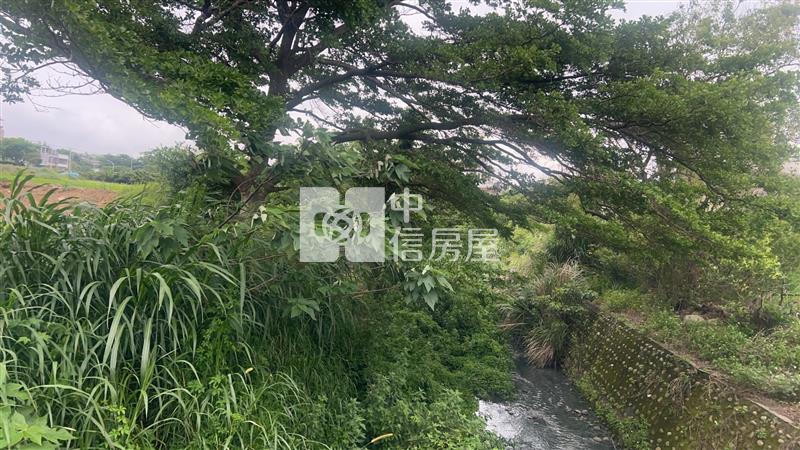 (專)新屋區長福路都內農房屋室內格局與周邊環境