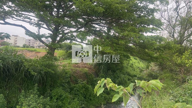 (專)新屋區長福路都內農房屋室內格局與周邊環境