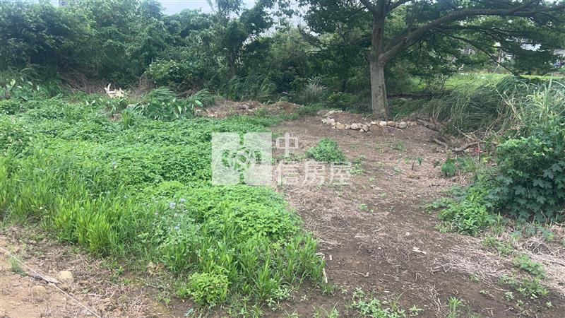 (專)新屋區長福路都內農房屋室內格局與周邊環境