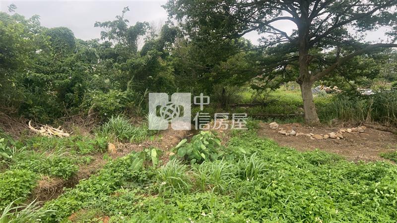 (專)新屋區長福路都內農房屋室內格局與周邊環境