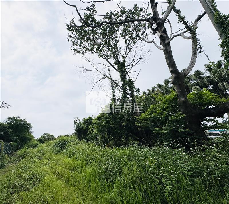 稀有龍潭正中原路上一般農房屋室內格局與周邊環境