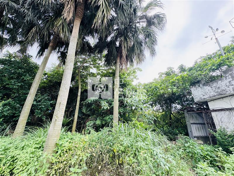 稀有龍潭正中原路上一般農房屋室內格局與周邊環境