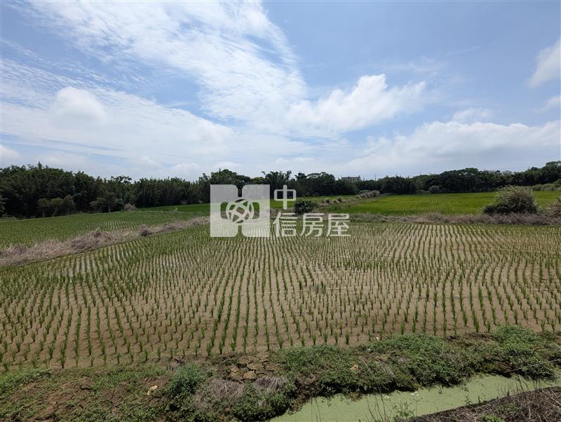 觀音育仁段美農地房屋室內格局與周邊環境