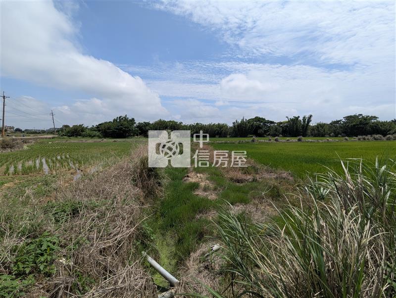 觀音育仁段美農地房屋室內格局與周邊環境