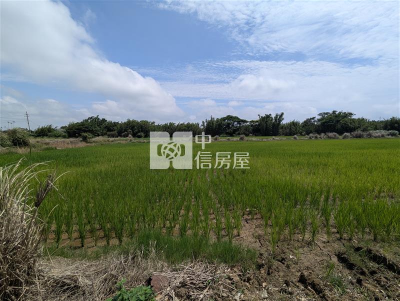 觀音育仁段美農地房屋室內格局與周邊環境