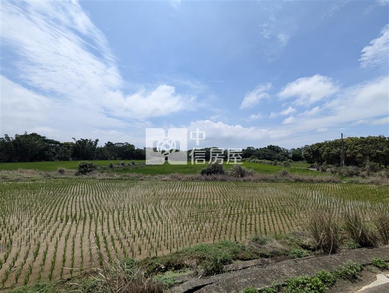 觀音育仁段美農地房屋室內格局與周邊環境