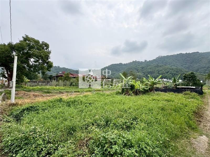 虎子山檳榔園房屋室內格局與周邊環境