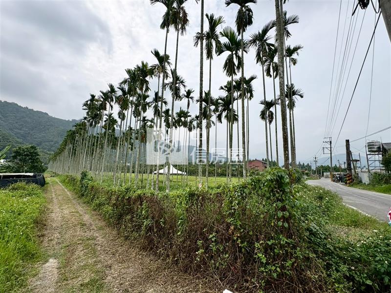 虎子山檳榔園房屋室內格局與周邊環境