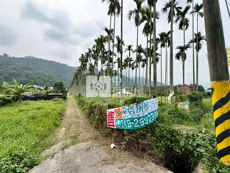 虎子山檳榔園房屋室內格局與周邊環境