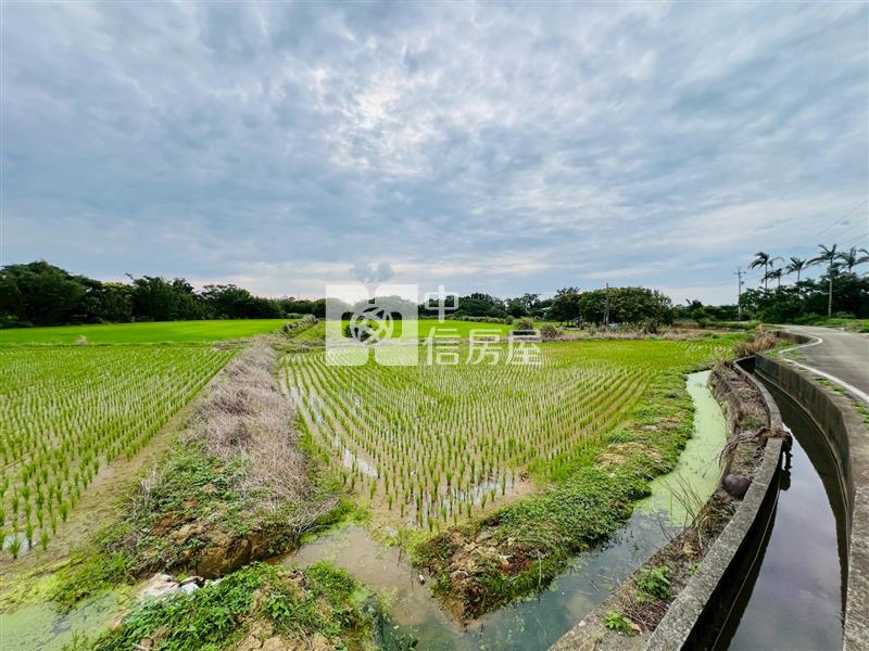 【安家】觀音育仁國小美農地房屋室內格局與周邊環境