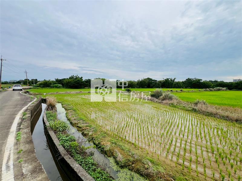 【安家】觀音育仁國小美農地房屋室內格局與周邊環境