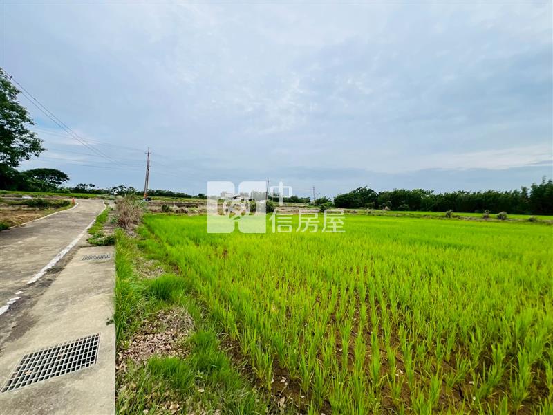 【安家】觀音育仁國小美農地房屋室內格局與周邊環境