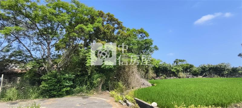 新豐新庄子買建地送屋房屋室內格局與周邊環境