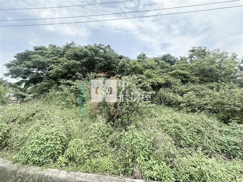 【豐禾】青埔都內農小坪數開心農場房屋室內格局與周邊環境